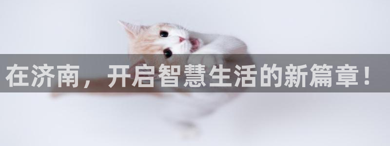 富联娱乐首页官网登录：在济南，开启智慧生活的新篇章！