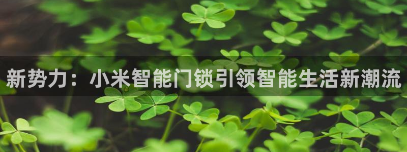 富联娱乐注册天听判官333OO：新势力：小米智能门锁引领智能