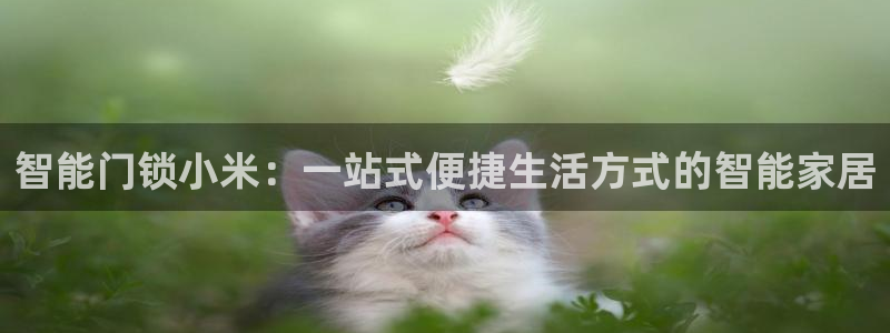 富联娱乐公司简介：智能门锁小米：一站式便捷生活方式的智能家居
