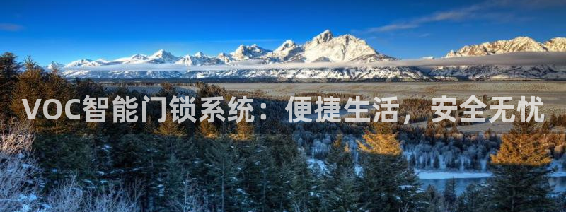 富联娱乐丈67五壹叁八：VOC智能门锁系统：便捷生活，安全无