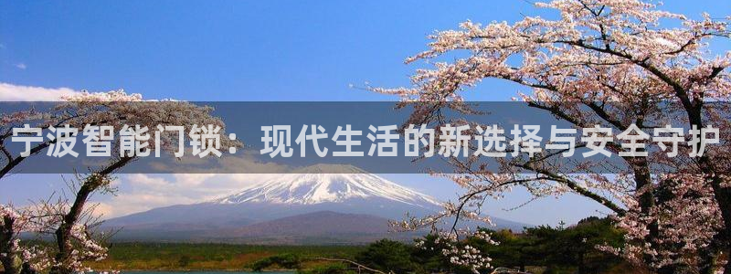 富联娱乐平台特点：宁波智能门锁：现代生活的新选择与安全守护