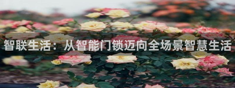 富联娱乐主管述判官333OO：智联生活：从智能门锁迈向全场景