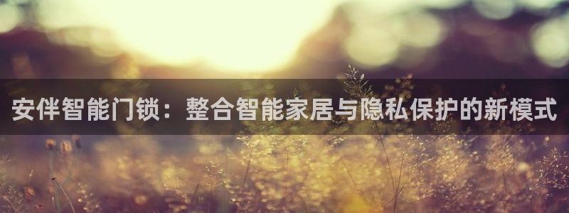 富联娱乐总裁简介图片高清：安伴智能门锁：整合智能家居与隐私保