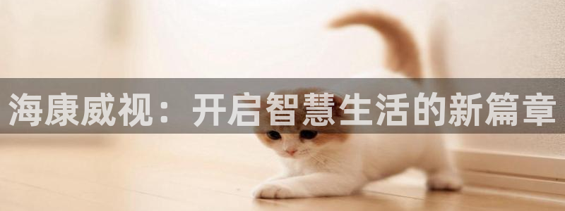 富联娱乐平台登录：海康威视：开启智慧生活的新篇章