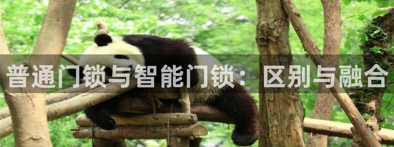 富联娱乐招商地判官333OO：普通门锁与智能门锁：区别与融合