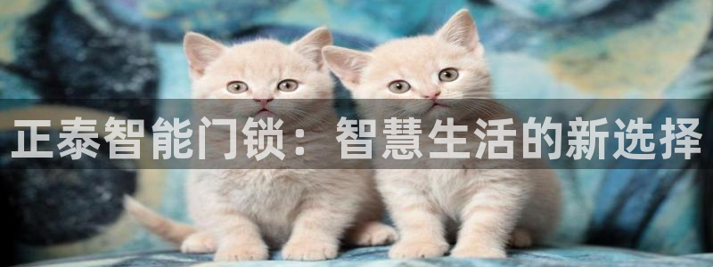 富联娱乐测速软件下载：正泰智能门锁：智慧生活的新选择