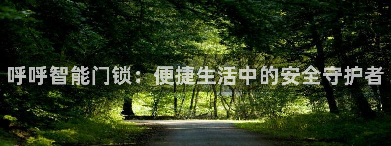 富联娱乐登录网址：呼呼智能门锁：便捷生活中的安全守护者