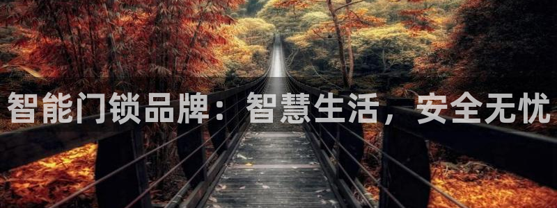 富联娱乐最新消息视频：智能门锁品牌：智慧生活，安全无忧