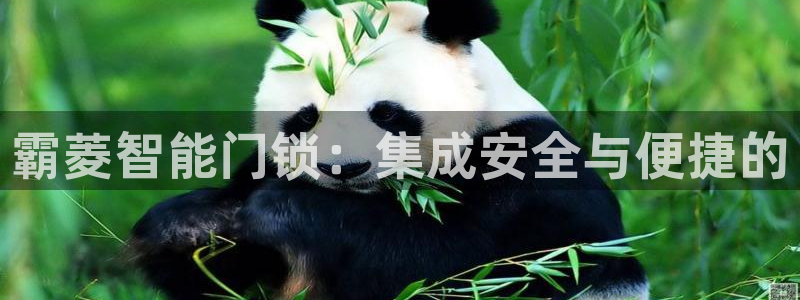 富联娱乐最新消息：霸菱智能门锁：集成安全与便捷的
