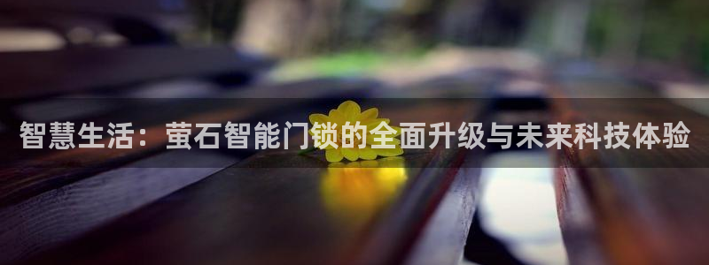 富联娱乐首页网站入口：智慧生活：萤石智能门锁的全面升级与未来