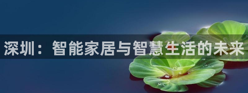 富联娱乐乞六七五一38：深圳：智能家居与智慧生活的未来