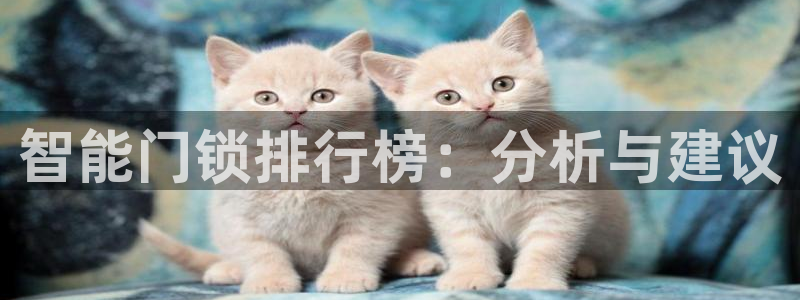 富联娱乐总代理怎么样啊：智能门锁排行榜：分析与建议