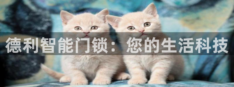 富联娱乐在线注册链接是什么意思：德利智能门锁：您的生活科技