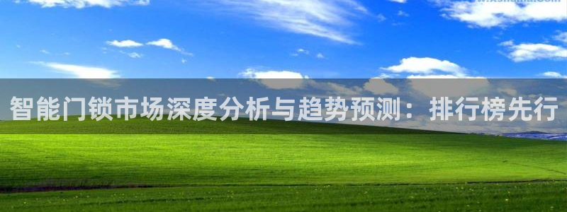 富联娱乐代理是谁做的呀：智能门锁市场深度分析与趋势预测：排行