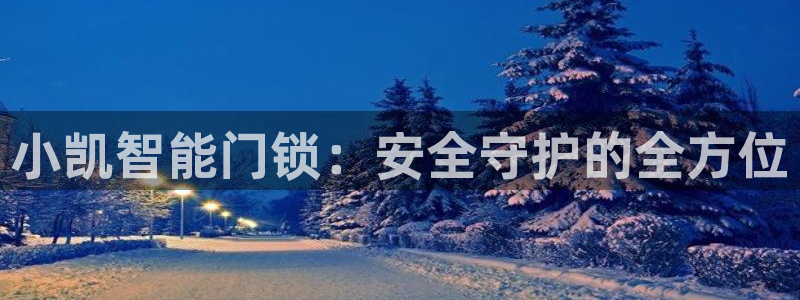 富联娱乐注册地址查询：小凯智能门锁：安全守护的全方位