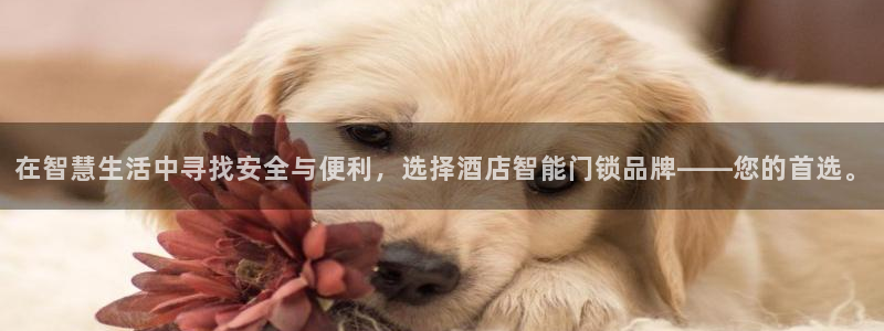 富联娱乐总代理电话地址：在智慧生活中寻找安全与便利，选择酒店