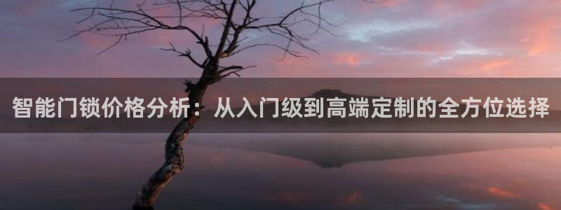 富联娱乐主管那去判官333OO：智能门锁价格分析：从入门级到