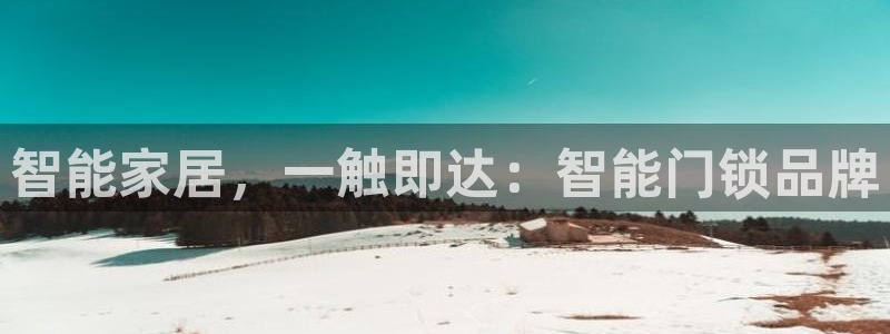 富联娱乐官网下载安卓：智能家居，一触即达：智能门锁品牌