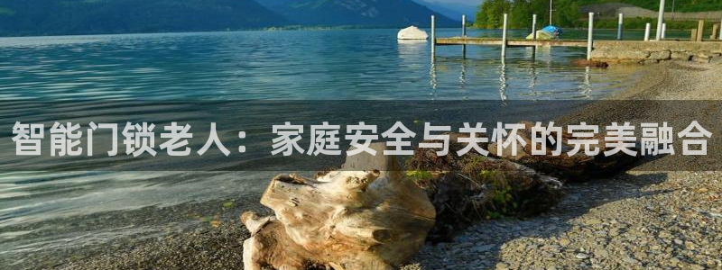 富联娱乐平台官网：智能门锁老人：家庭安全与关怀的完美融合