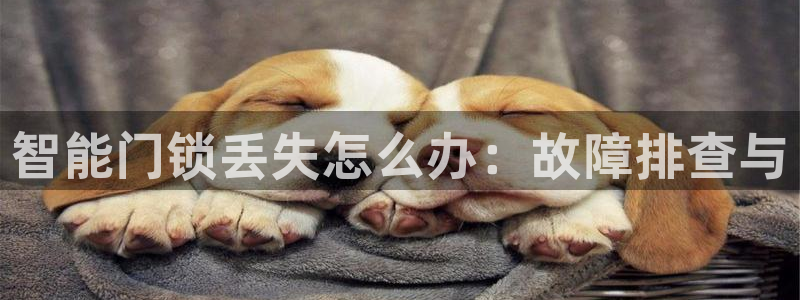 富联娱乐客户端：智能门锁丢失怎么办：故障排查与