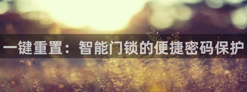 富联娱乐官网首页：一键重置：智能门锁的便捷密码保护