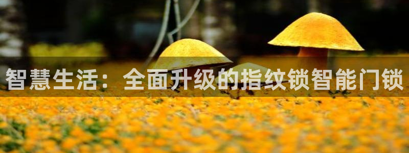 富联2娱乐首页网址大全：智慧生活：全面升级的指纹锁智能门锁