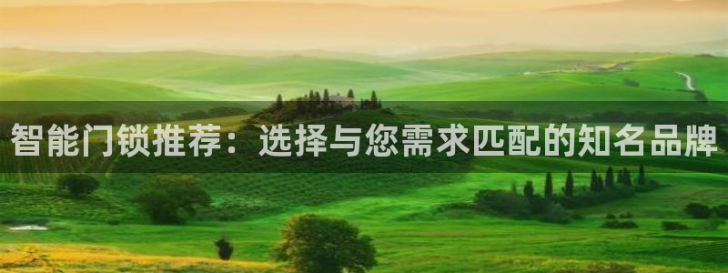 富联娱乐怎么样：智能门锁推荐：选择与您需求匹配的知名品牌