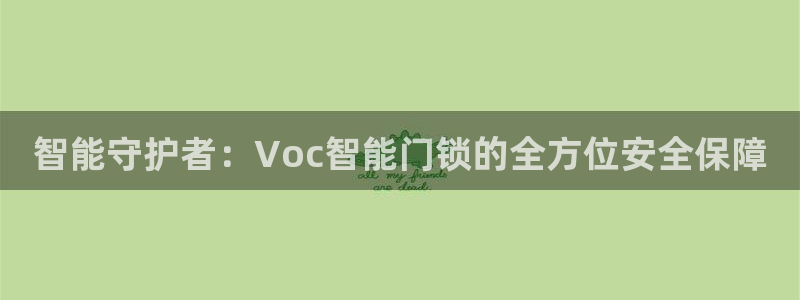 联富市场娱乐园：智能守护者：Voc智能门锁的全方位安全保障