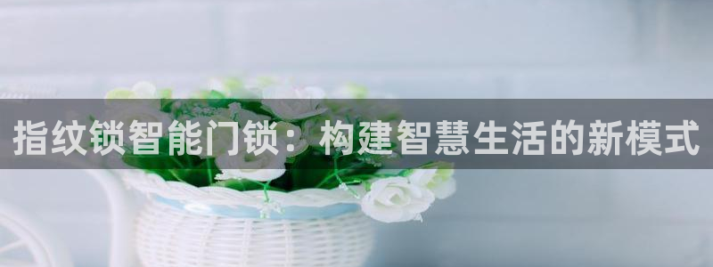 富联娱乐官网下载：指纹锁智能门锁：构建智慧生活的新模式