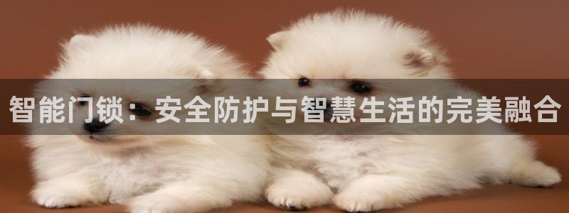 富联娱乐乃67OO6：智能门锁：安全防护与智慧生活的完美融合