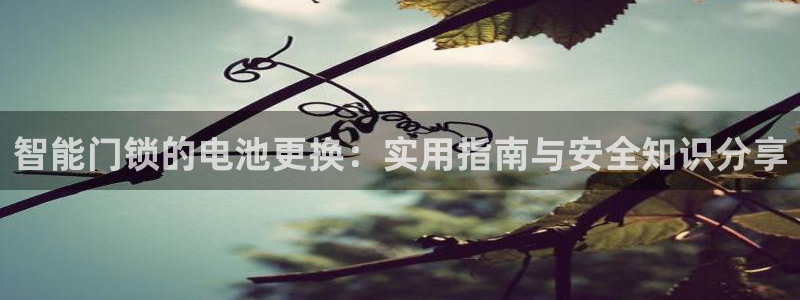 富联娱乐开户：智能门锁的电池更换：实用指南与安全知识分享