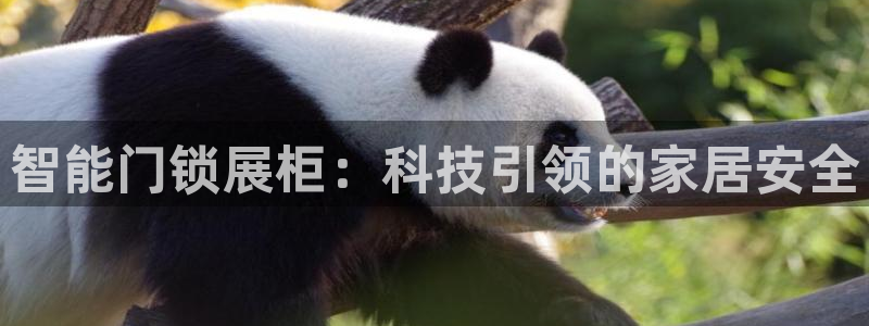 富联娱乐主管审判官333OO：智能门锁展柜：科技引领的家居安