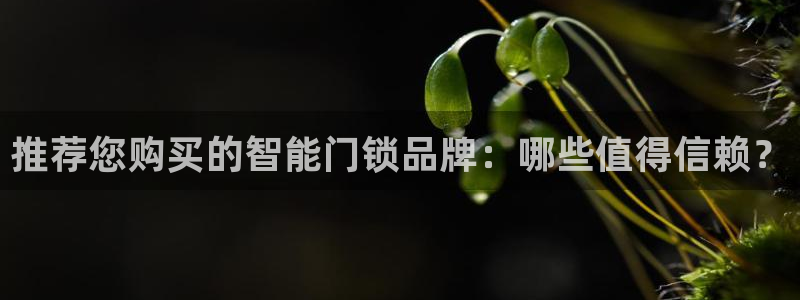 台湾富联娱乐官网：推荐您购买的智能门锁品牌：哪些值得信赖？