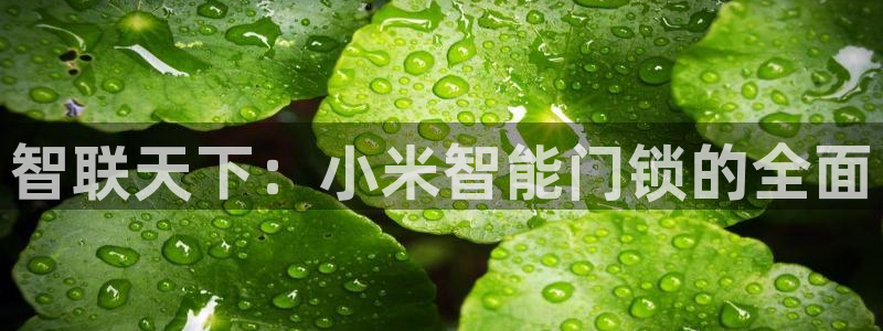 富联娱乐下载官网网址：智联天下：小米智能门锁的全面