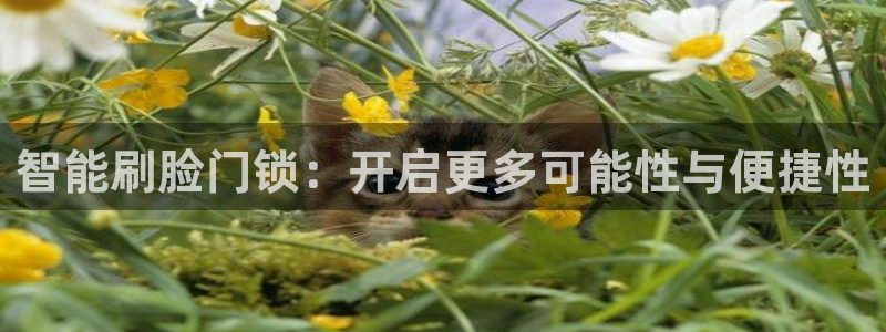 富联娱乐发展历程简介：智能刷脸门锁：开启更多可能性与便捷性