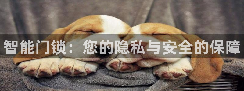 富联娱乐官网入口下载：智能门锁：您的隐私与安全的保障