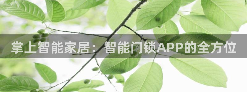 富联娱乐登录链接怎么弄到桌面：掌上智能家居：智能门锁APP的