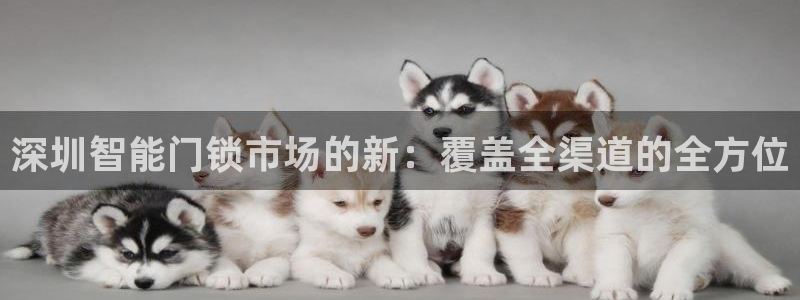 富联娱乐首页网址是多少：深圳智能门锁市场的新：覆盖全渠道的全