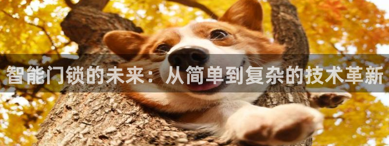 富联娱乐登录链接在哪里：智能门锁的未来：从简单到复杂的技术革