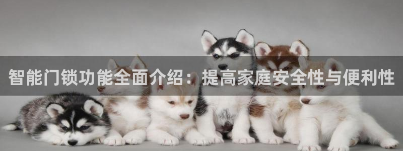 富联娱乐注册地址是哪里：智能门锁功能全面介绍：提高家庭安全性