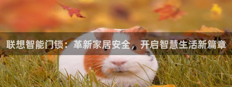 富联娱乐平台登录不了账号：联想智能门锁：革新家居安全，开启智