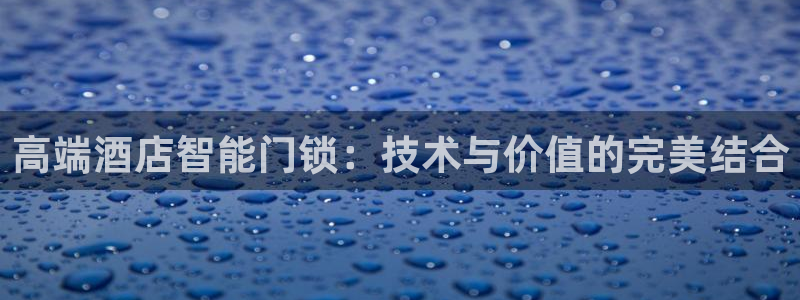 富联娱乐平台是什么软件：高端酒店智能门锁：技术与价值的完美结