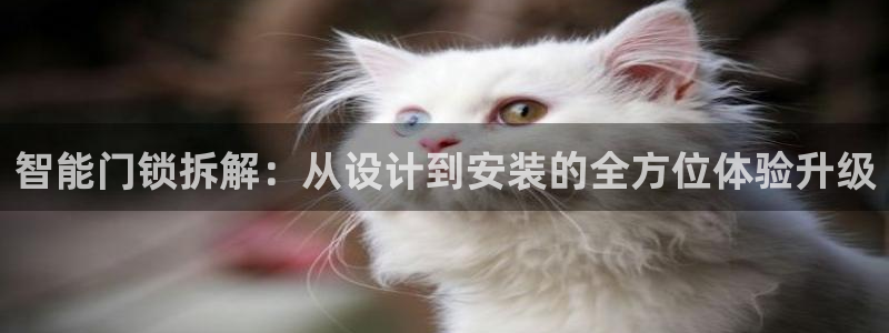 富联娱乐乃67OO6：智能门锁拆解：从设计到安装的全方位体验