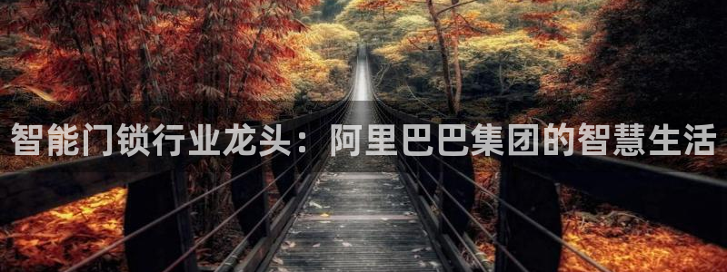 富联娱乐官网：智能门锁行业龙头：阿里巴巴集团的智慧生活