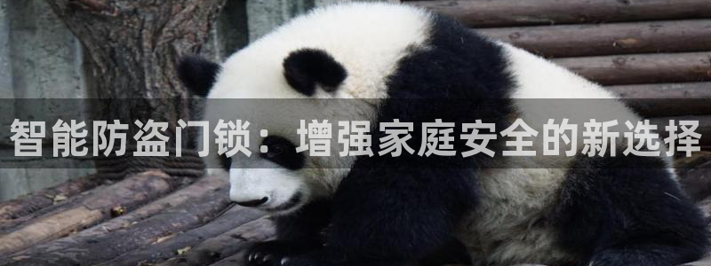 富联娱乐与67五壹叁八：智能防盗门锁：增强家庭安全的新选择