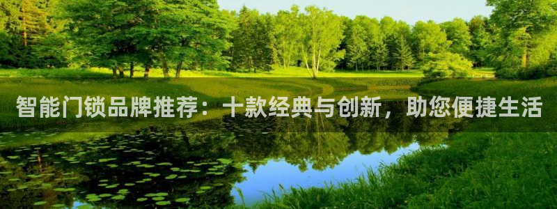 富联2娱乐元哥微博号：智能门锁品牌推荐：十款经典与创新，助您