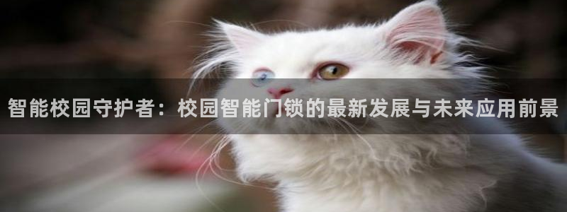 富联娱乐代理是谁开的：智能校园守护者：校园智能门锁的最新发展