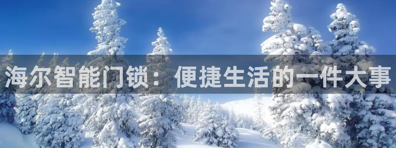 富联娱乐平台是什么公司：海尔智能门锁：便捷生活的一件大事