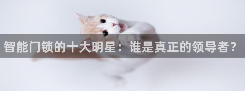 富联娱乐app官方下载：智能门锁的十大明星：谁是真正的领导者