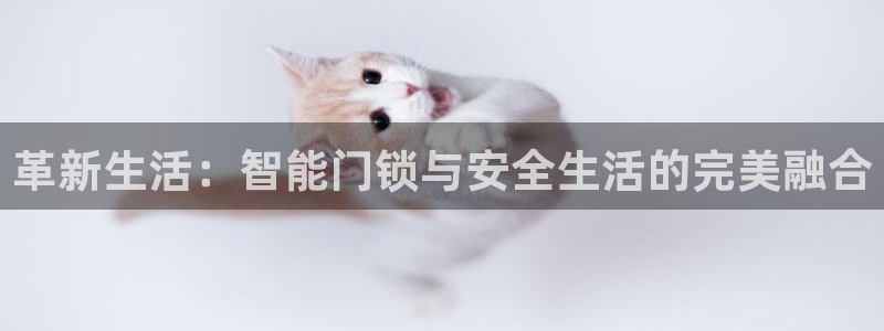 富联娱乐女团排名：革新生活：智能门锁与安全生活的完美融合